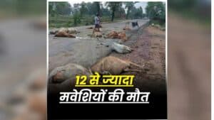 Kanker Road Accident: छत्तीसगढ़ के इस जिले में दर्दनाक हादसा, देखते ही देखते मच गई अफरा-तफरी, 12 से ज्यादा मौतों से मचा हड़कंप